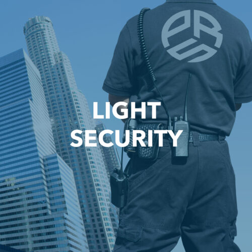 Visit the PARS-S Light Security Services page
